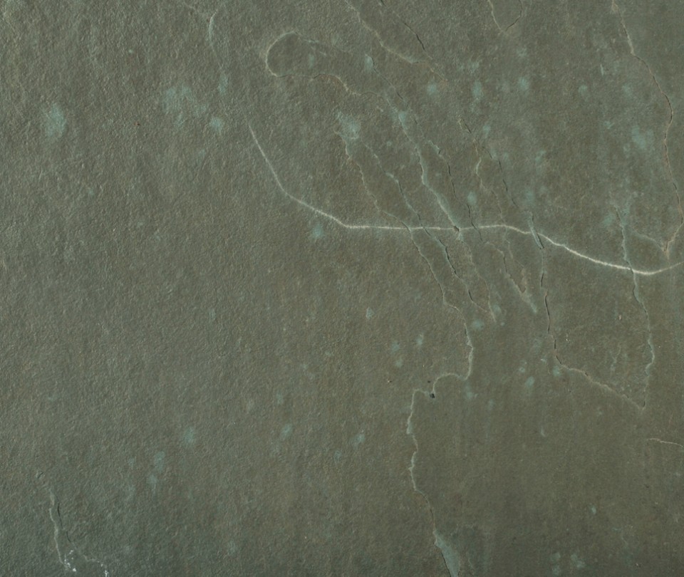 Ardezie Verde - Detaliu